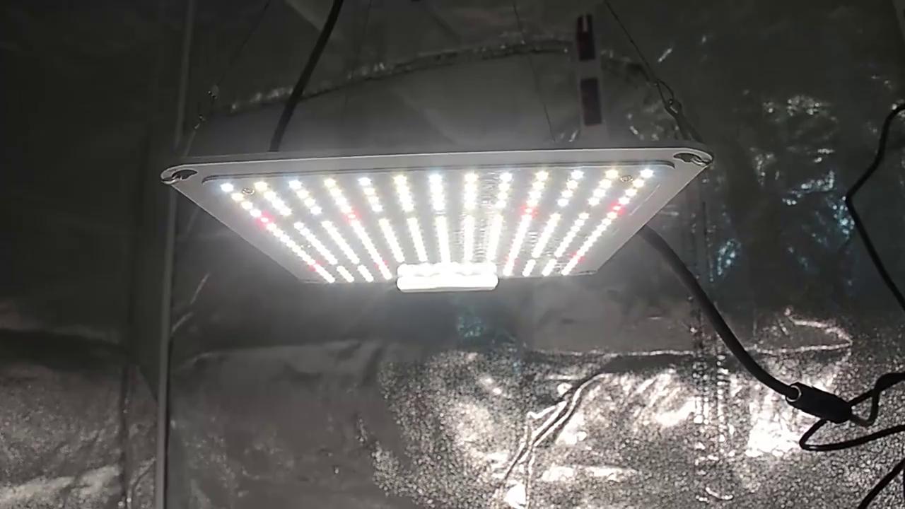 Factory price waterproof full spectrum bar samsung board led grow light ...